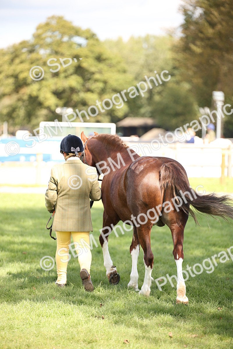 SBM_44441 - S24 - Young Veteran in hand
