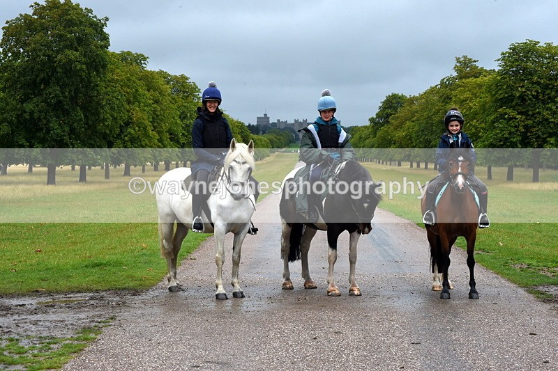 TT3_8684 - Time at Crossing 11:44 to 12:54