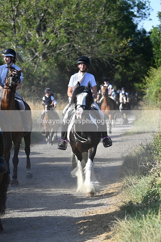 WJ5_4923 - Walk out with the hounds
