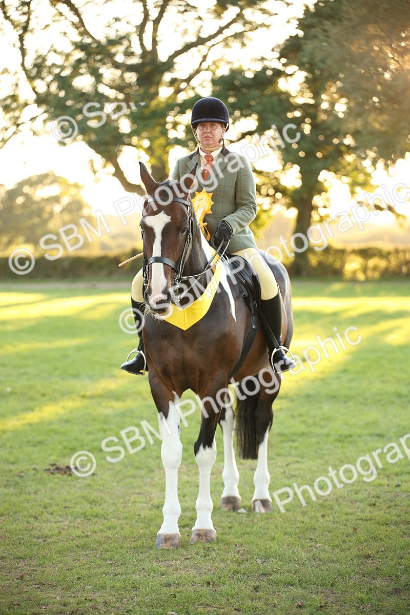SBM_57064 - Veteran Supreme Championship