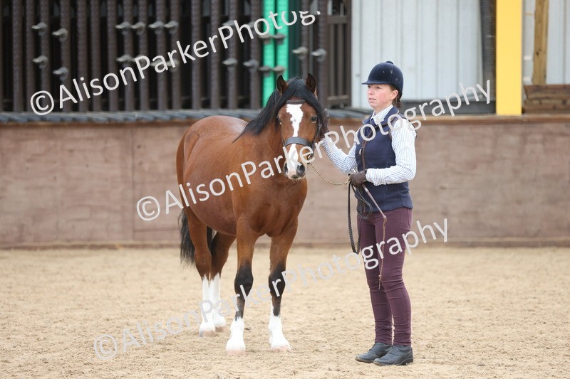 20251109-0957 - Class 26 - 2 and 4 Year Olds