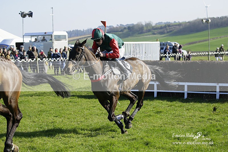 PtP 190322 577 - Wilton Hunt PtP Milborne St Andrew 19/03/22