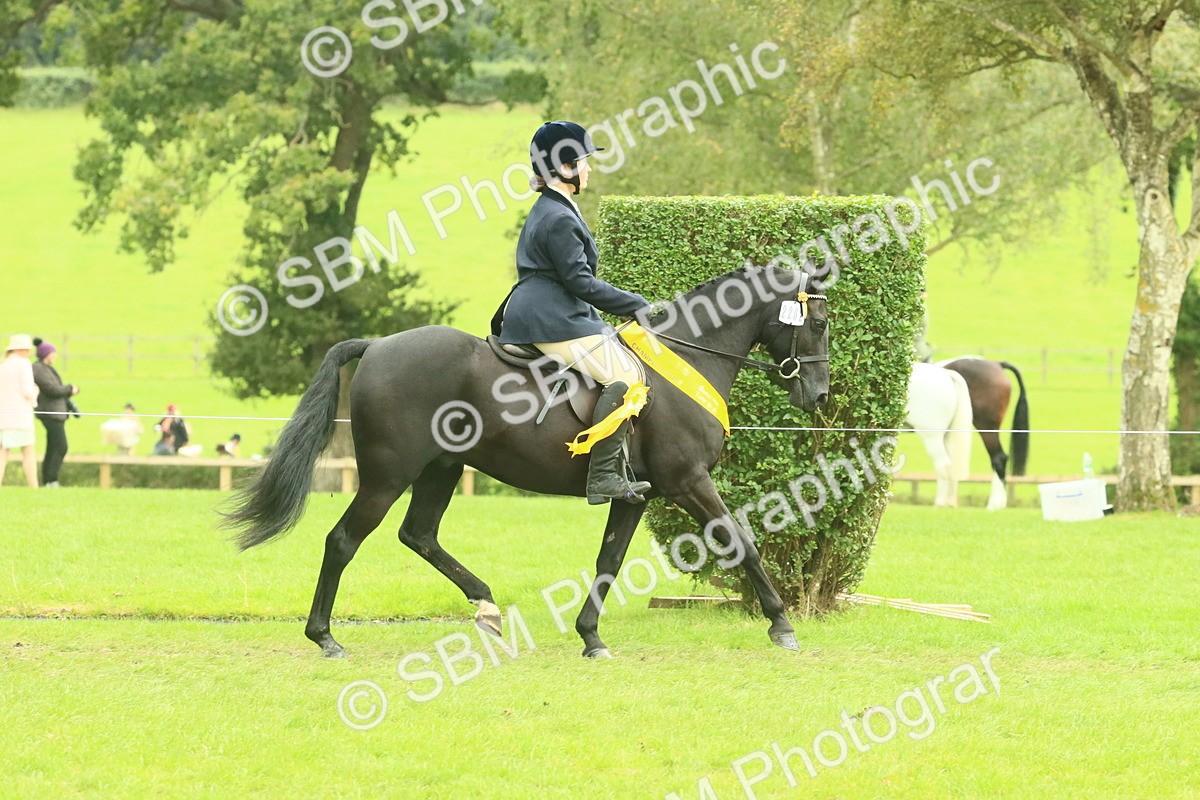SBM_74986 - Ridden Pony Supreme Championship