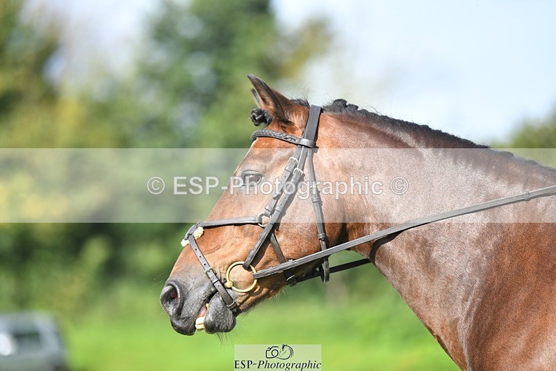 230826-090300-15010 - Sections C & D 9 to 10am