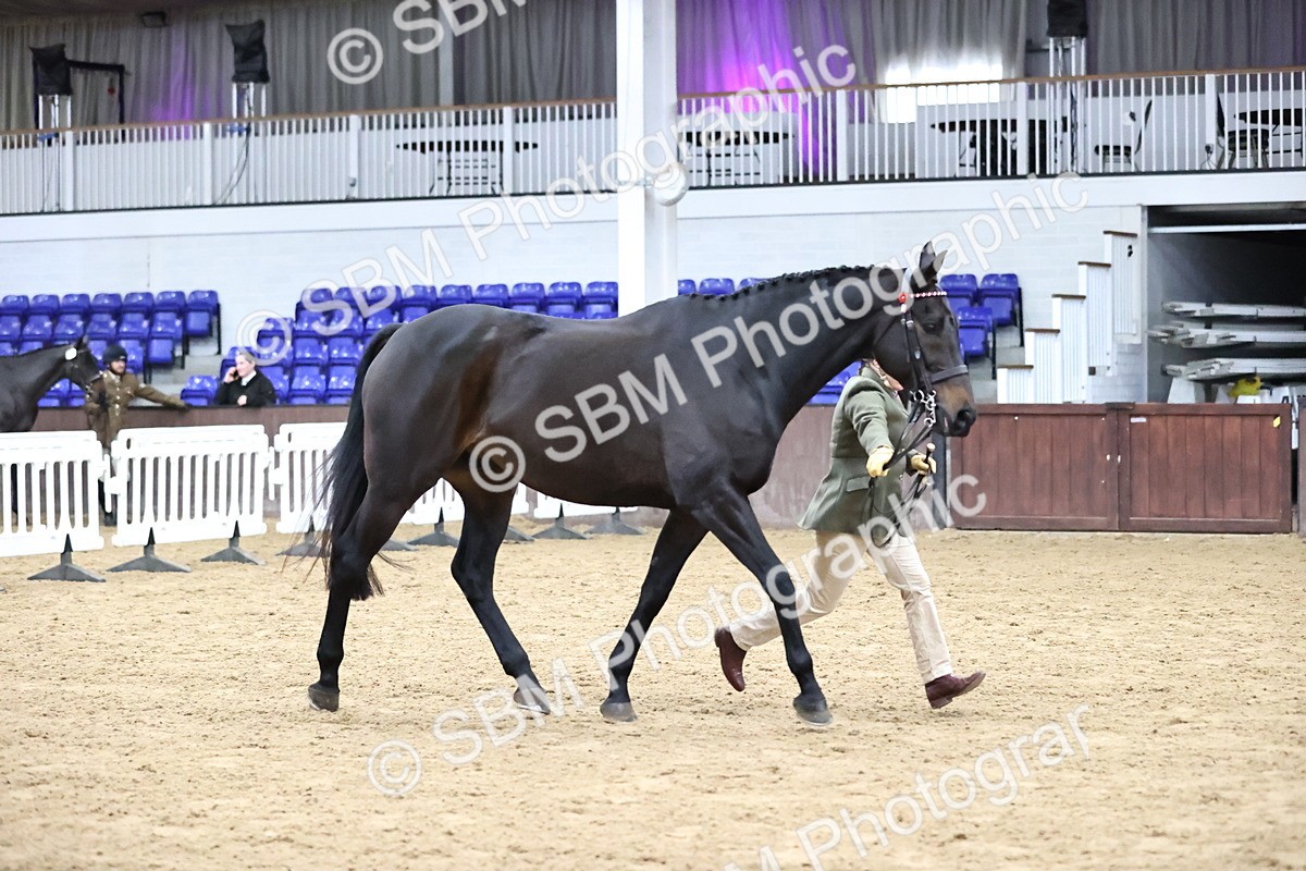 SBM_5809 - Class 4 - ROR Open In Hand