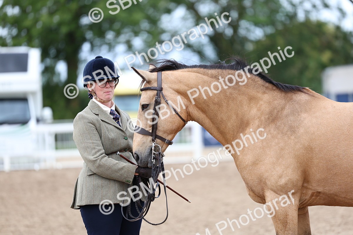 SBM_01492 - Class 17 - Prettiest Mare