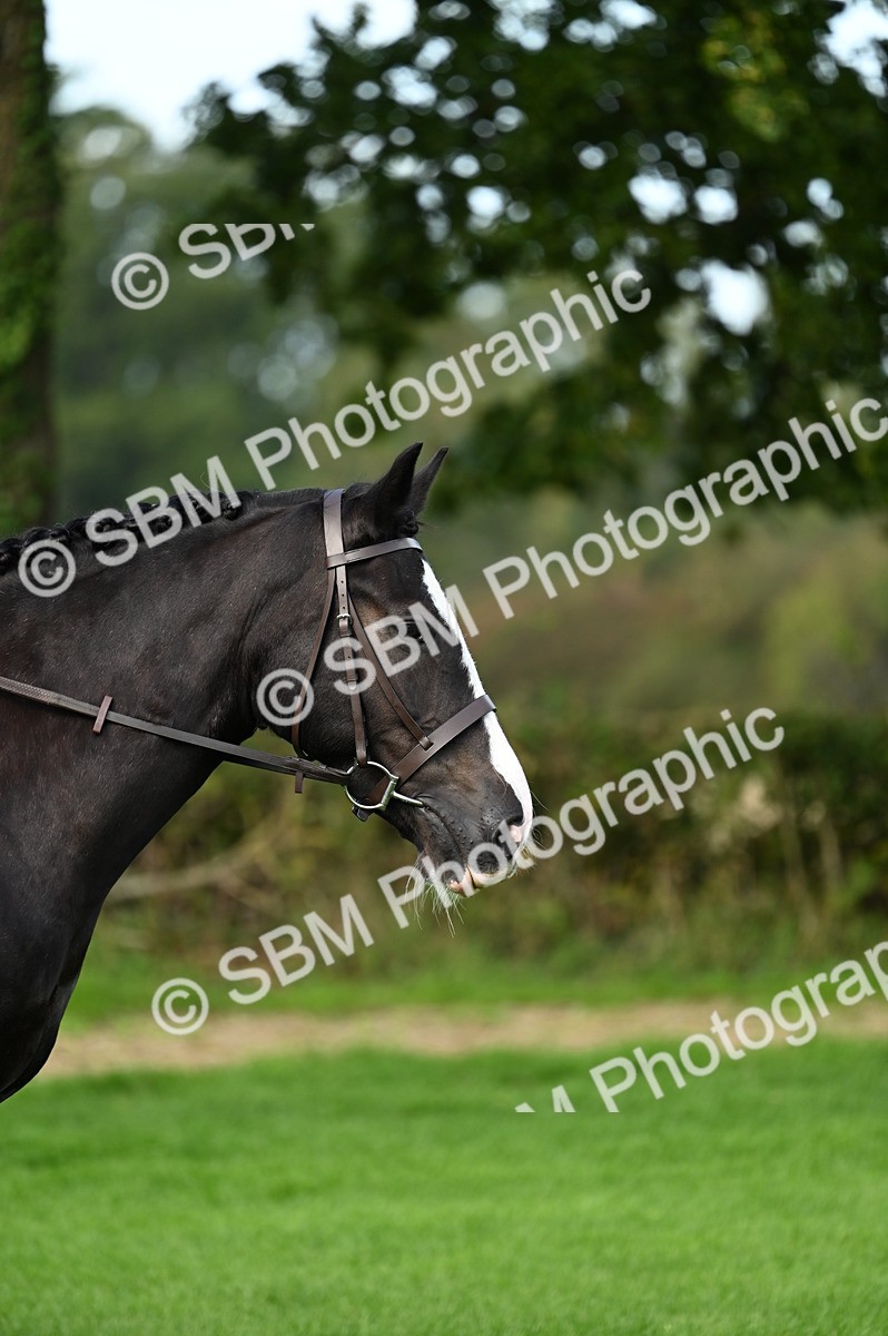 SBM_02051 - S2 - TSR Ridden Horse Showing