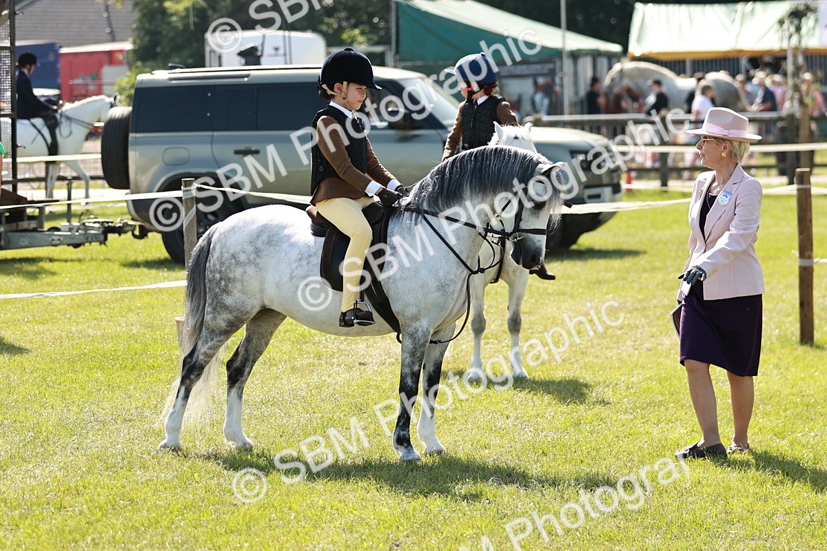 SBM_12705 - Class 106-107 - BSPS LIHS Working Sports Pony