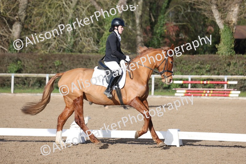 20260128-0332 - Class 3 - Novice 4