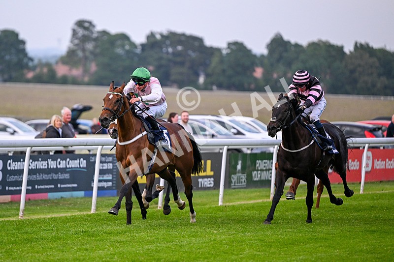 160626-Race 5-Anificas Beauty-5212 - Race 5 20.30pm Churchill Tyres Handicap
