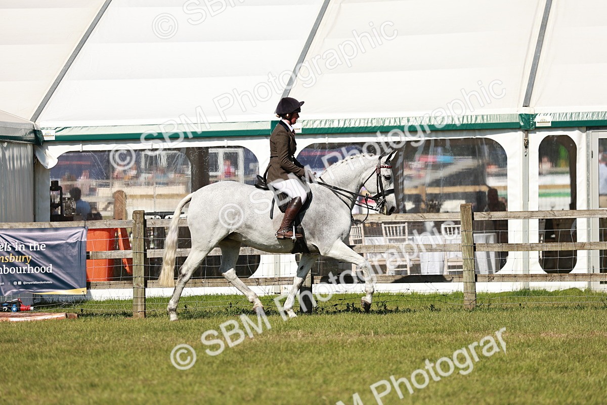 SBM_18864 - Class 114 - RIHS & SEIB Open Working Show Horse