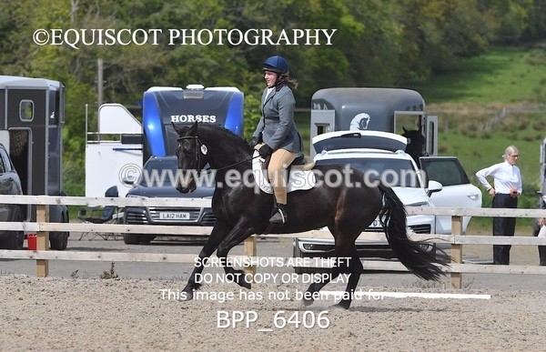 BPP_6406 - 36 H KING