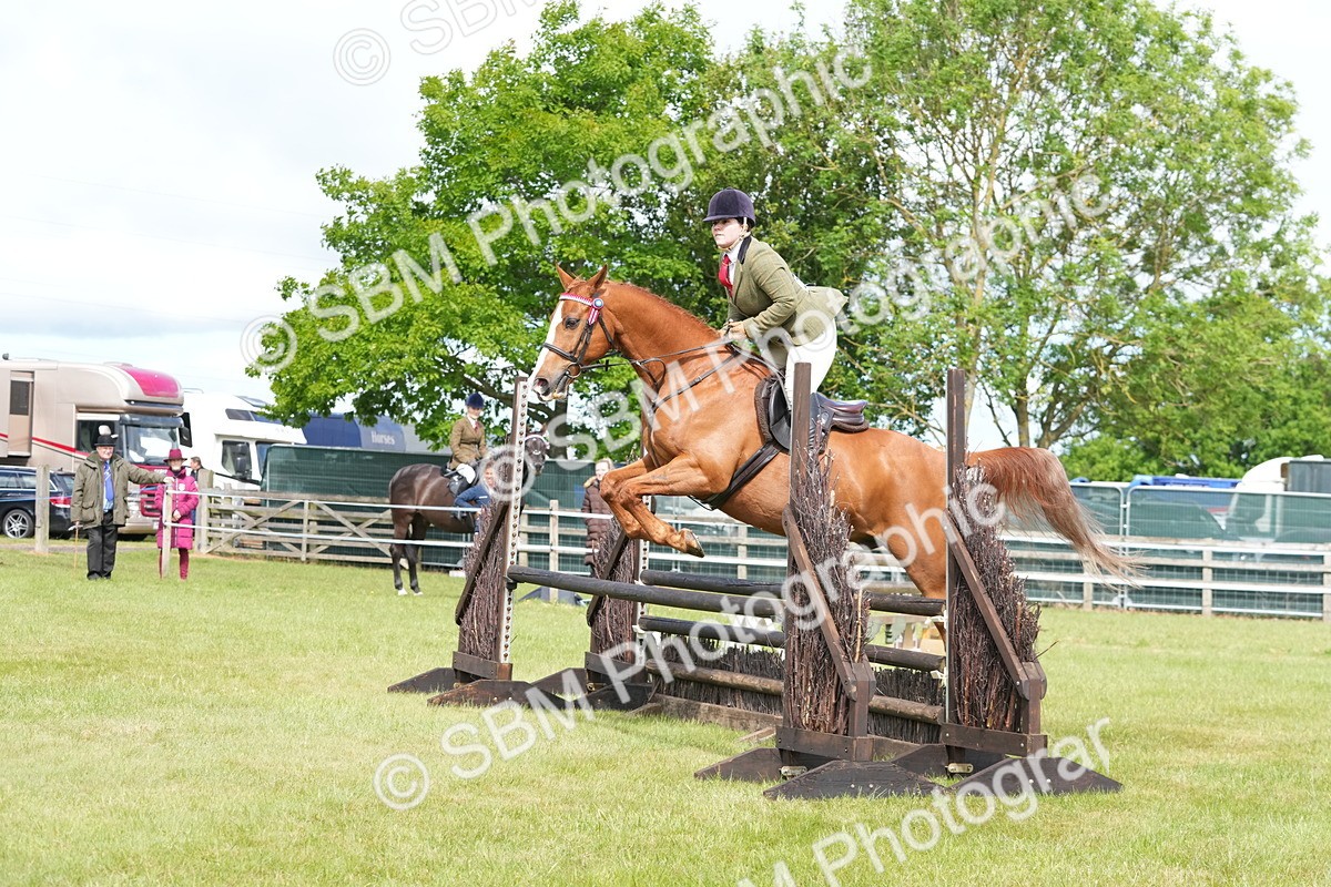 SBM_12902 - Class 99 - RIHS SEIB Working Show Horse