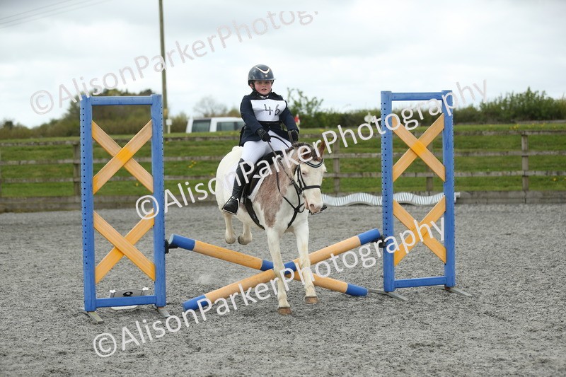 20260412-0681 - Show Jumping