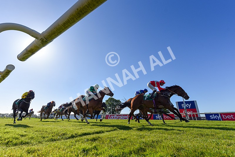 170525-Race 8-So Grateful-3337 - Race 8