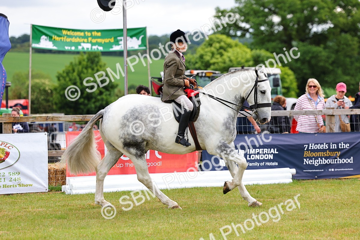 SBM_02565 - Class 9-11 Side Saddle including LIHS Rising Star Ladies Show Horse