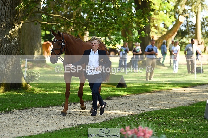 230524-160854-00713 - 251-CLASS_MOVE-Ellie_Healy-WEDTrotUp+DR