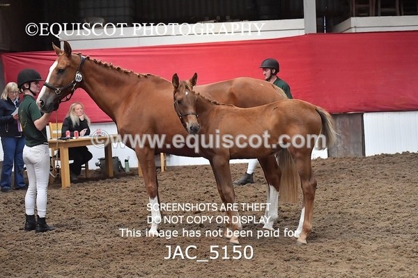 JAC_5150 - 9 Zinzipan