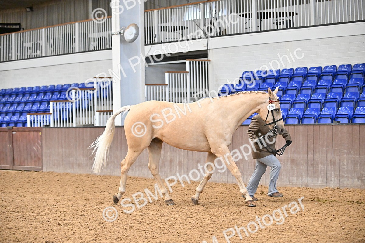 SBM_000671 - Class 11,12,13 - SSADL In Hand Seniors