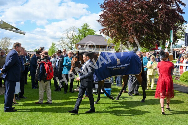 yr11052022r4-56 - Race 4 3.35pm Tattersalls Musidora Stakes