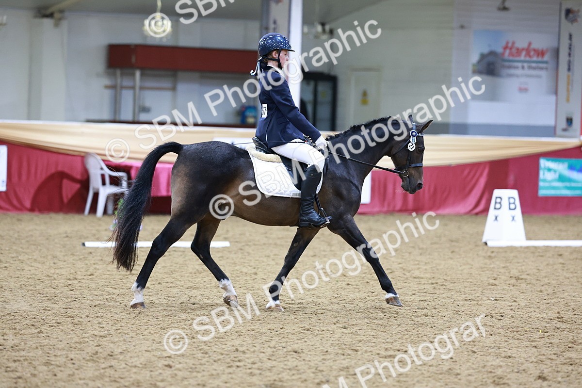 SBM_09286 - Class 61 - Dressage to Music