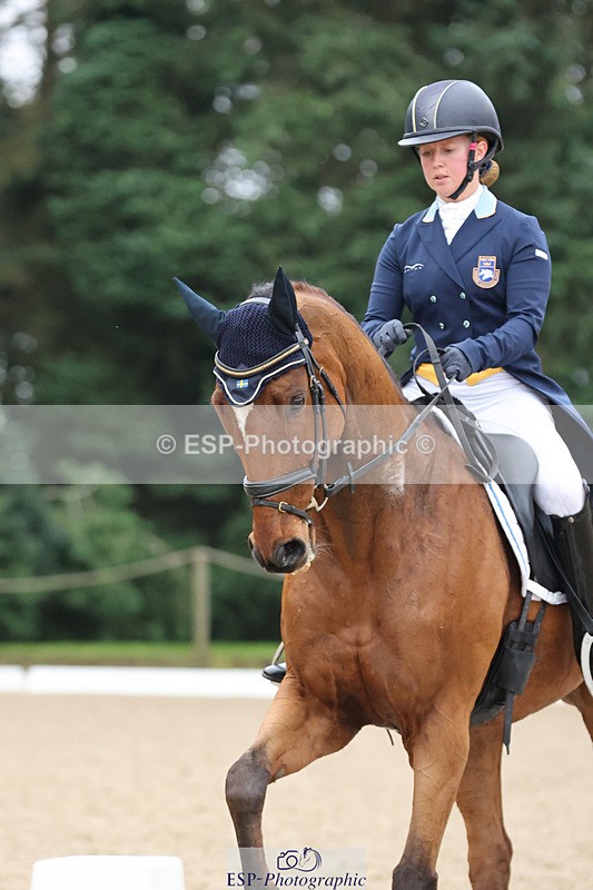 241024-160259-04983 - 237-Therese.Viklund-IMPERIAL.PLAN