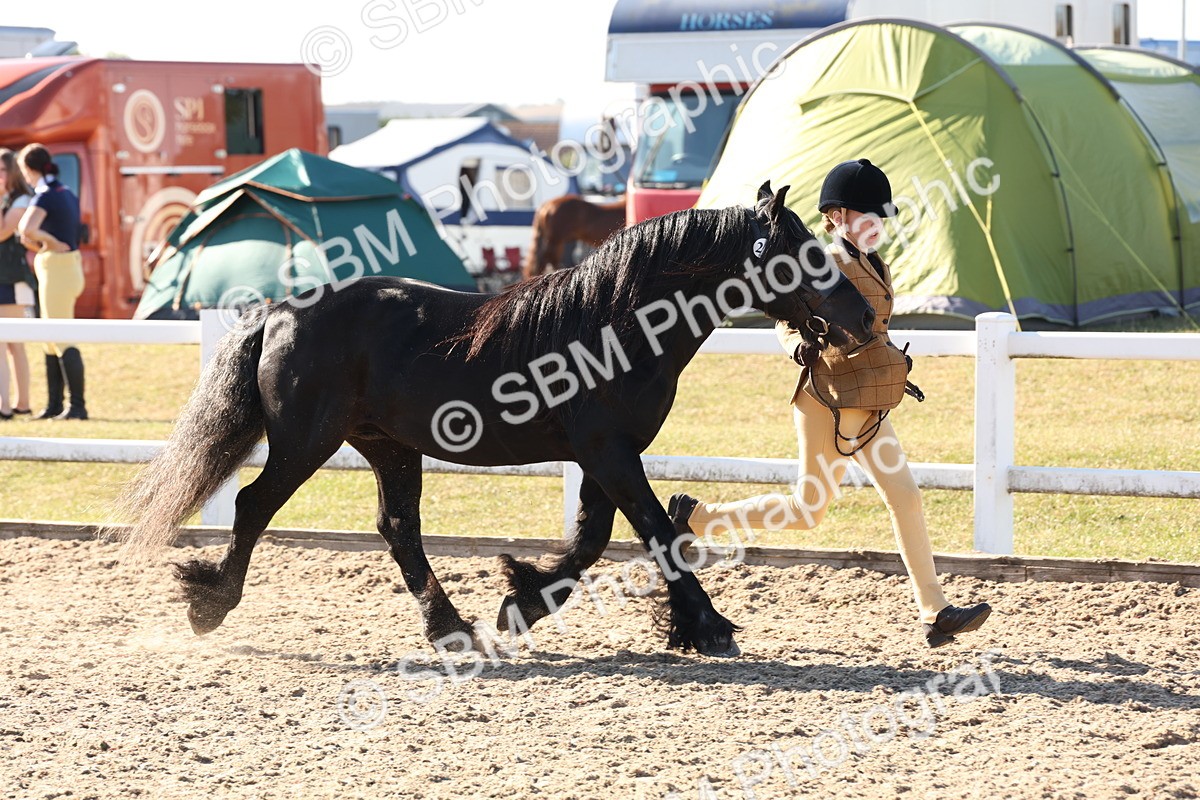 SBM_11719 - Class 204 - Young Handler 11 to 16 years