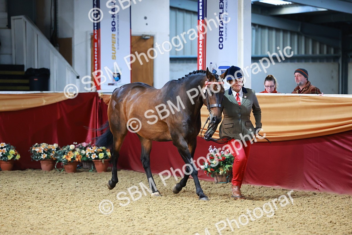 SBM_21701 - Class 901 - Supreme Final - IH  Diamond