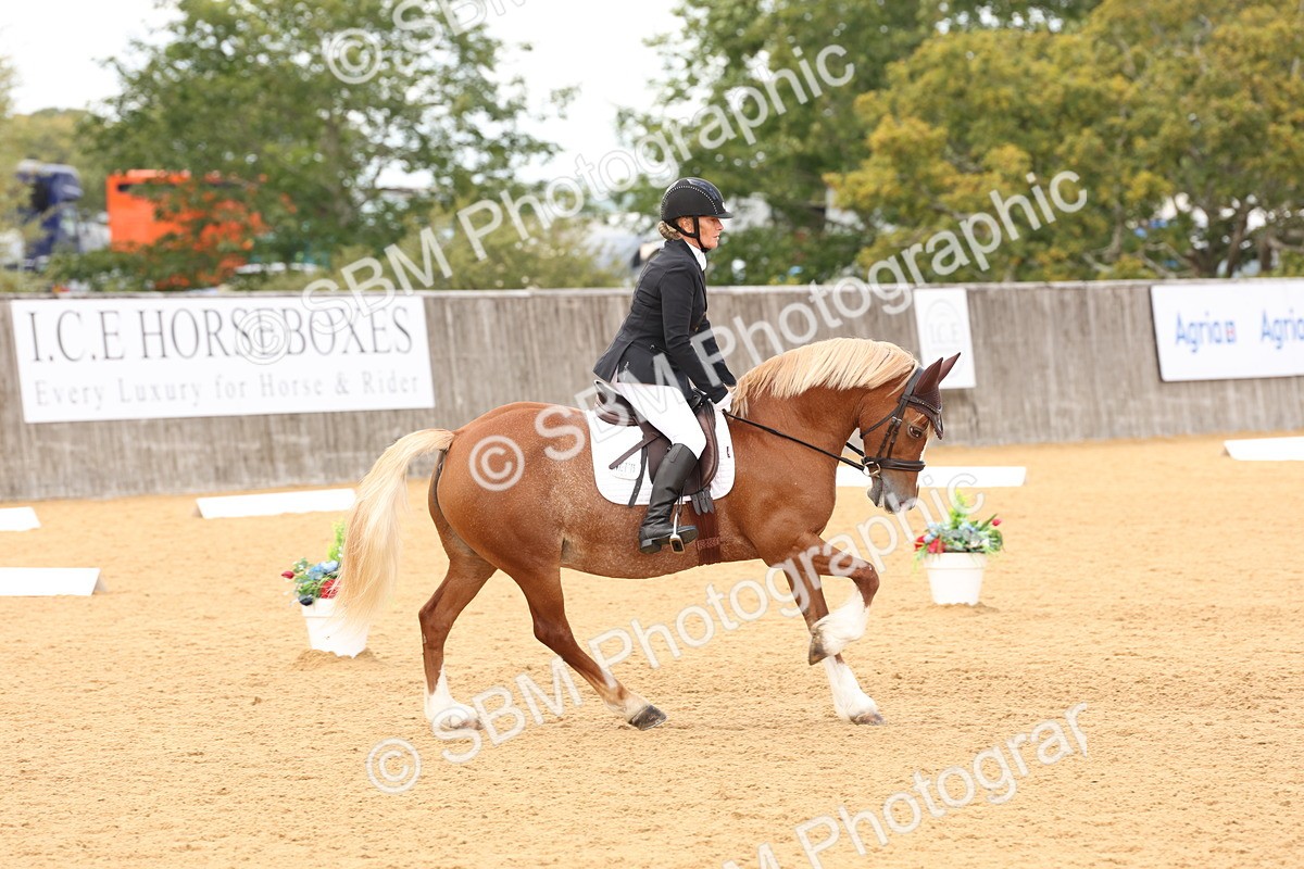 SBM_19525 - D10 - Small Tour Championship Prelim 2