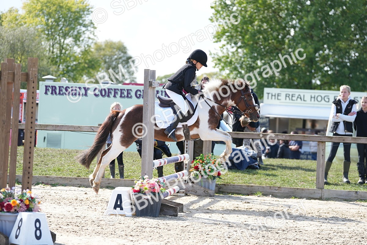 SBM_46584 - J7 - Junior Pony 60cm Championship