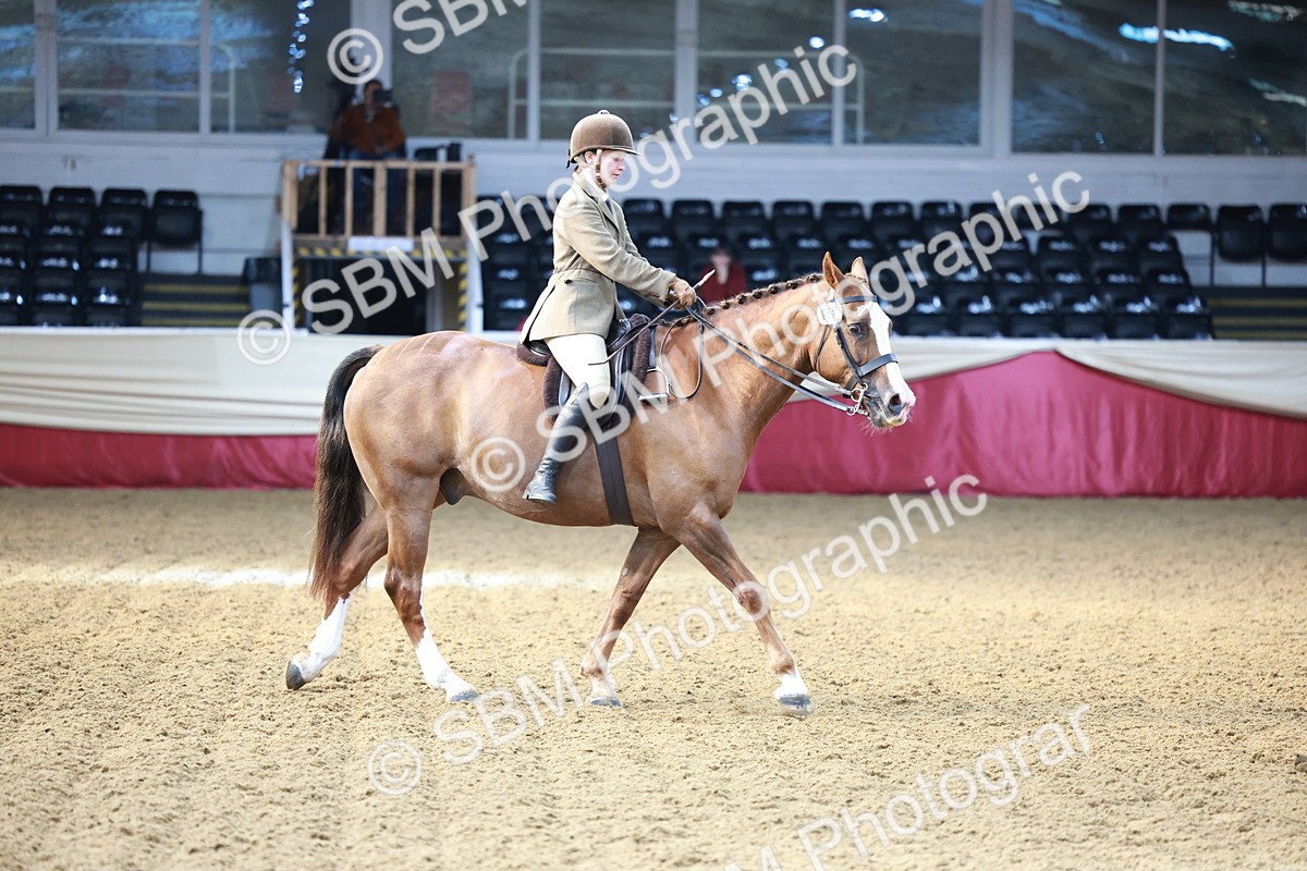 SBM_11966 - Class 102 - Equitation (Best Rider) Adult