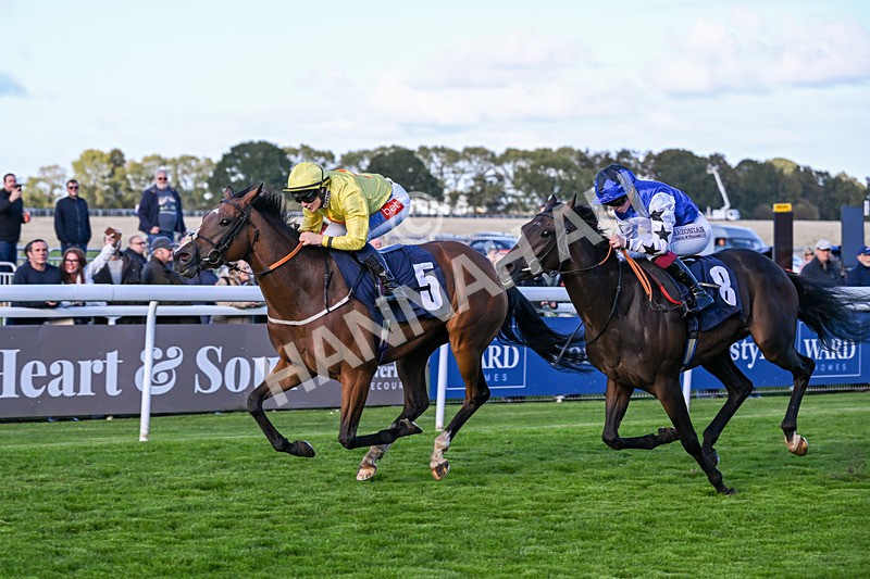 230925-Race 6-Kiss Me My Love-1997 - Race 6