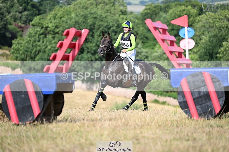 250803A-171701-18385 - S-856-Helena.Stock-ROYAL.UPDATE