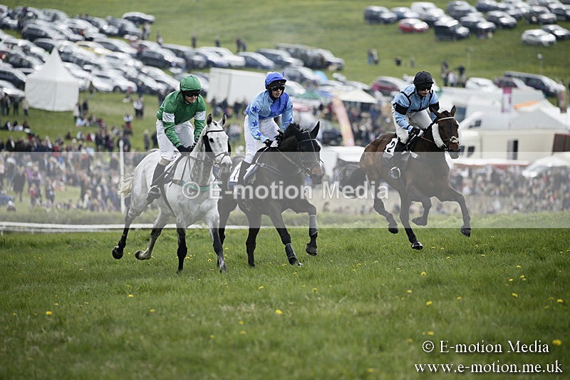 PtP 170417 87 - Old Berks Point-to-Point Lockinge 17/04/17