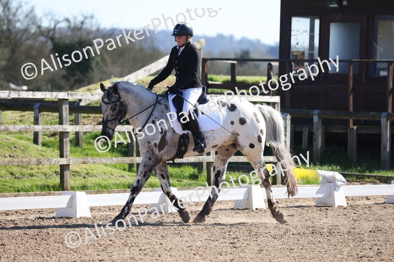 20260318-0466 - Class 5 - Novice 2