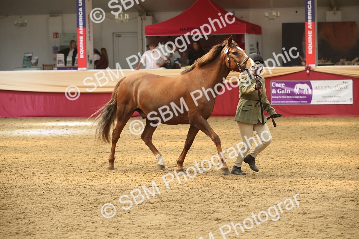 SBM_05624 - Class 9R - Regional IH Pre-Vet