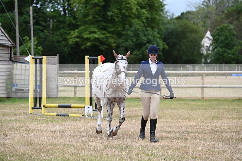 WJ6_4280 - Class 10 Coloured In-hand