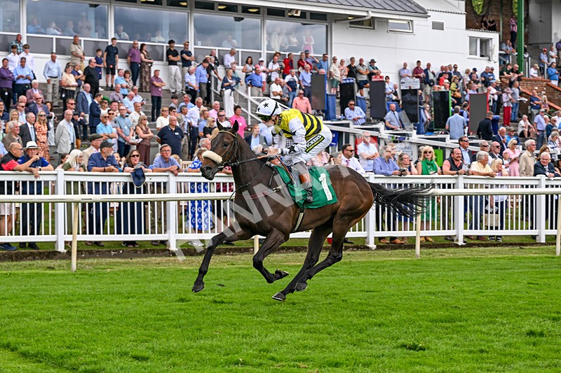 010726-Race 2-Arapaho Gold-7782 - Race 2 13.38pm British EBF Restricted Novice Stakes (Div II)