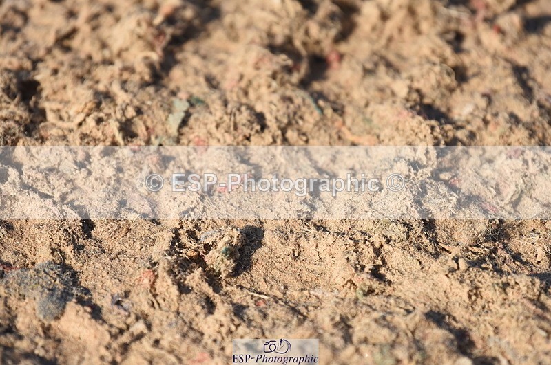 230915A-100528-00147 - Cls 8 85cm Amateur Qualifier