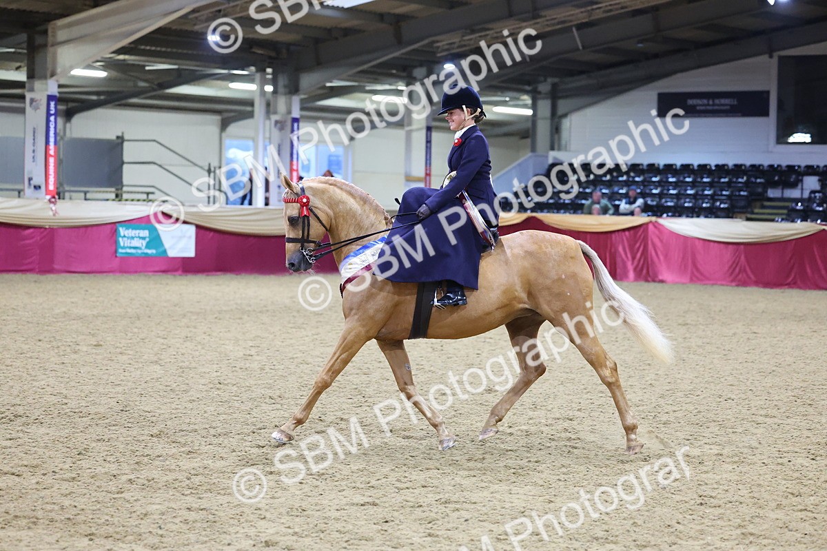 0B8A4267 - Class L Side Saddle Champ
