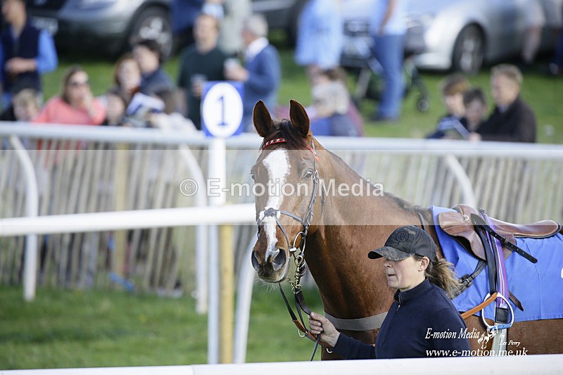 PtP 180422 301 - Old Berkshire PtP Lockinge 18/04/22