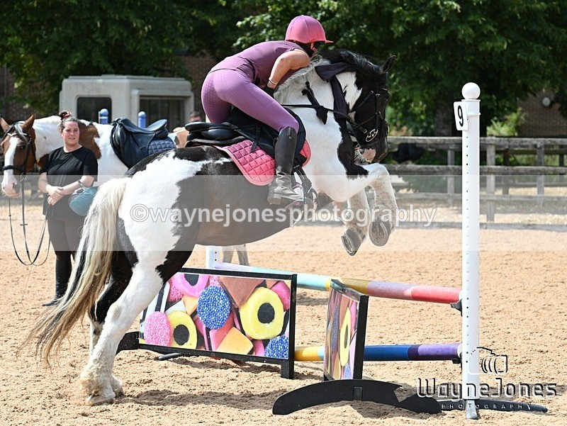 WJ7_6856 - Show Jumping at BCA