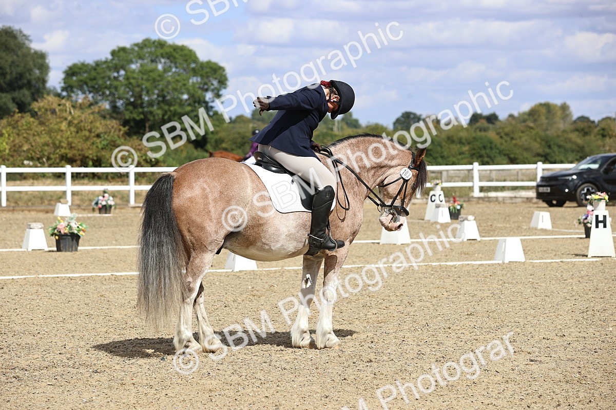 SBM_014575 - Class 5 - E5 Bronze 13.30.14.18