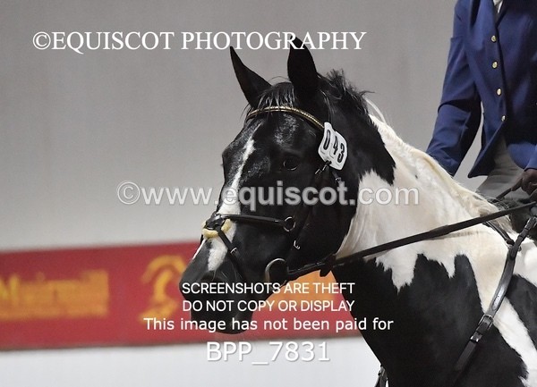 BPP_7831 - INTRO TEST 1