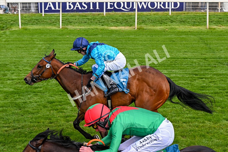 150526-Race 4-Love A Giggle-0239 - Race 4 3.30pm Design Tonic Out Of This World Spaces At The Races EBF Marygate Fillies' Stakes