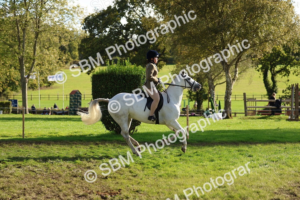 SBM_52415 - S13 - Pony Club Pony