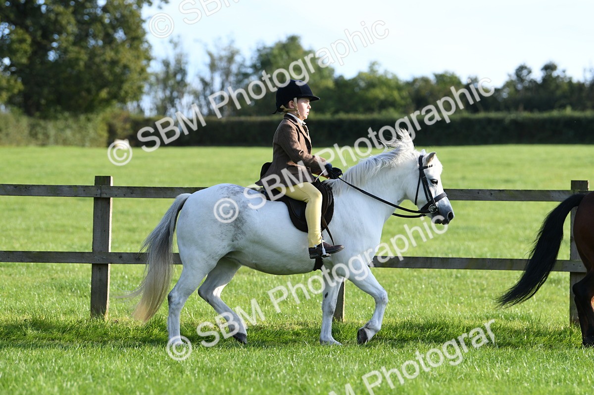 SBM_53996 - S23 - 1st Ridden Mountain & Moorland Pony