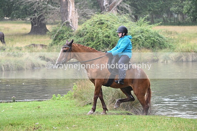 WJ7_8590 - Time at Water 11:24 to 11:52