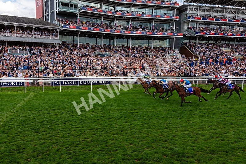 220826-Race 4-Daiquiri Bay-0465 - Race 4 15.35pm Sky Bet Ebor Handicap