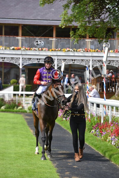 yr09072021r2-31 - Race 2: 2.40pm William Hill Summer Stakes